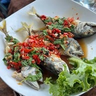 ครัวต้นเตย