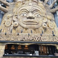 Safari Matcha Bar สุขุมวิท 24