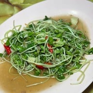 กอชุนฮวด ดาวคะนอง