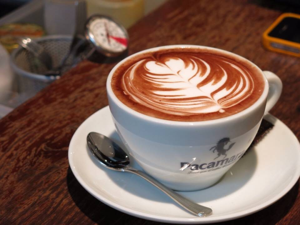 PACAMARA COFFEE กลางเวียง เชียงใหม่
