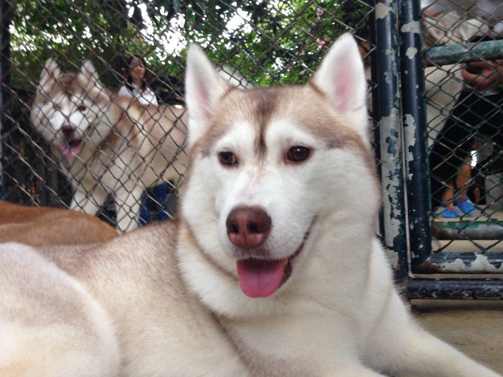 True Coffee Neverland