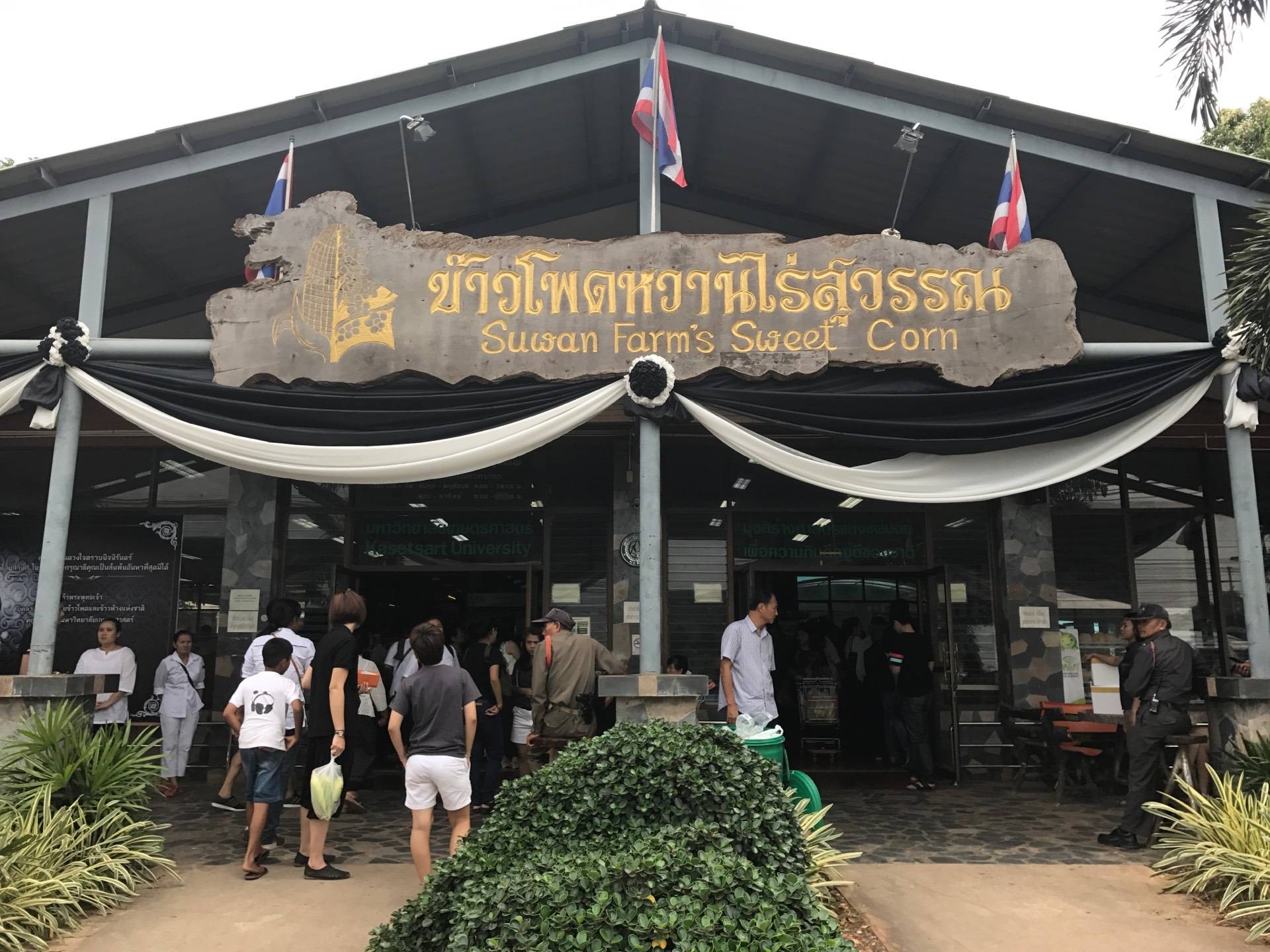 ไร่สุวรรณ ศูนย์วิจัยข้าวโพดและข้าวฟ่างแห่งชาติ