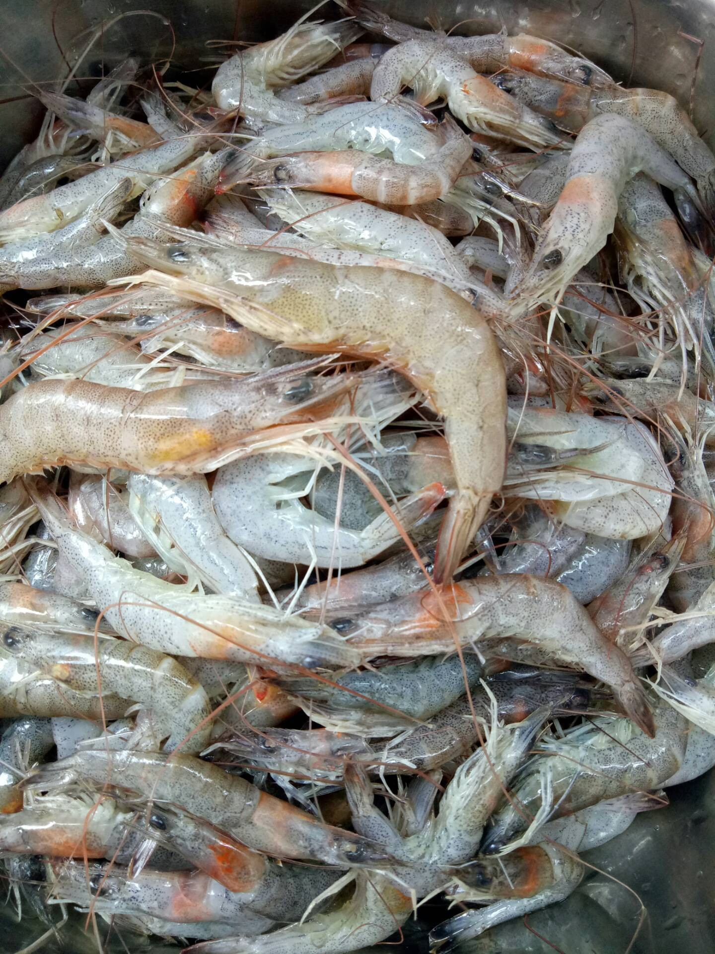 กุ้งหวานบ้านแม่โสภา