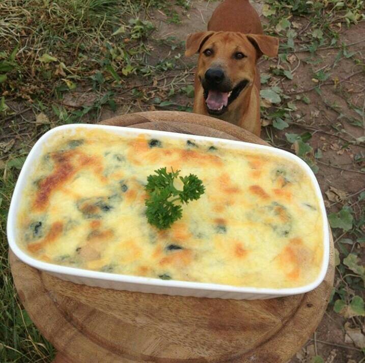 ผักโขมอบชีส