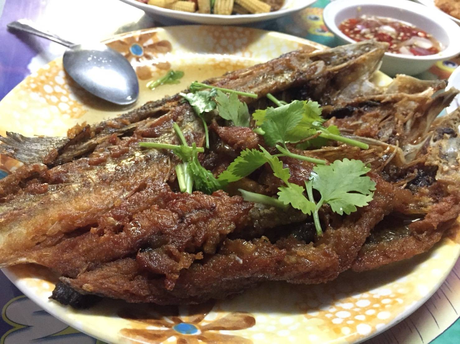 ปลากระพงตะลุยน้ำปลาหวานนนนนน