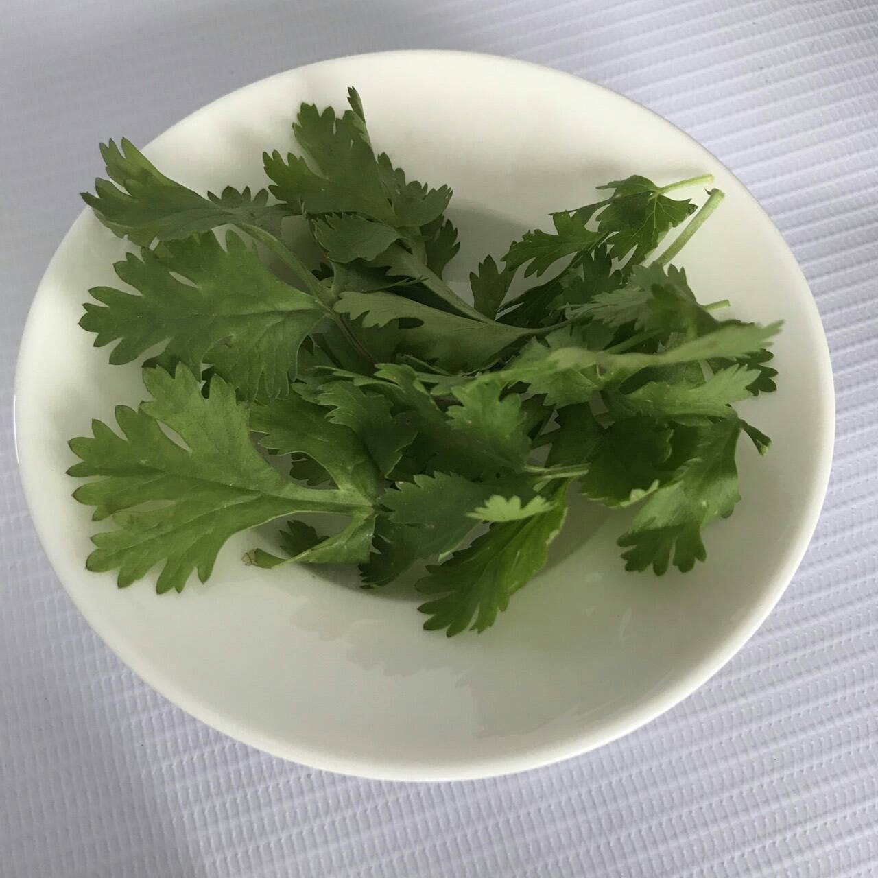 สันนอกหมูย่างเกลือ (ทอด)