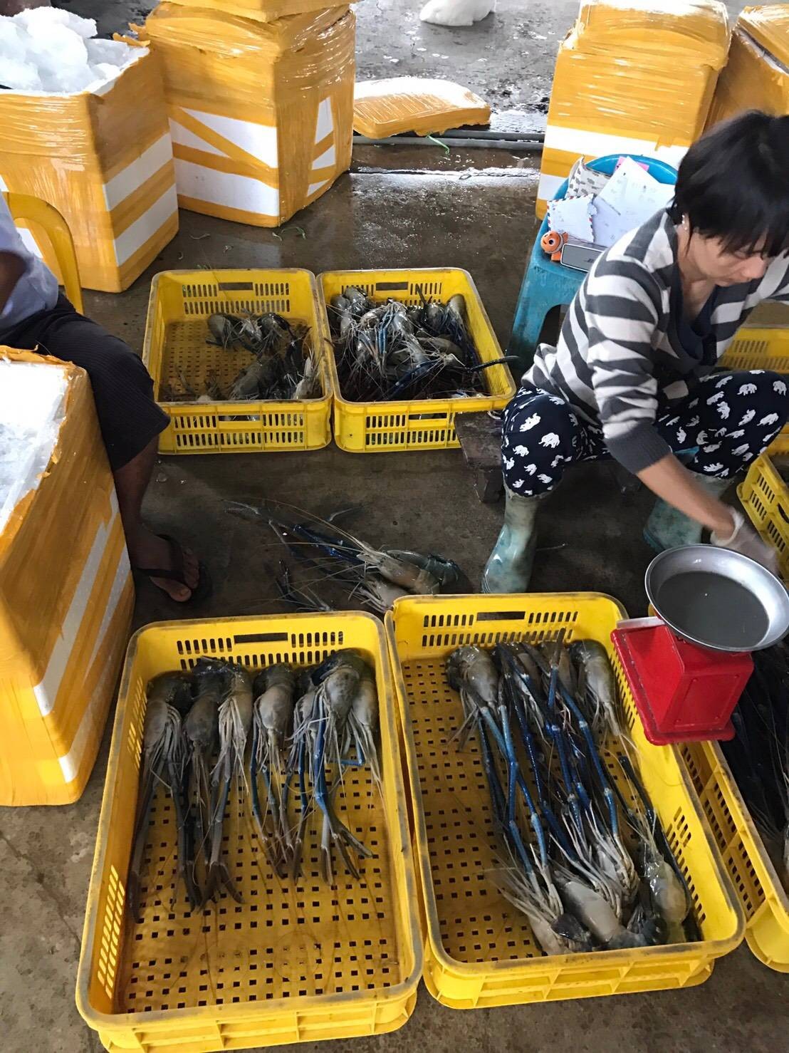 กุ้งพม่าอบวุ้นเส้นเกาหลี