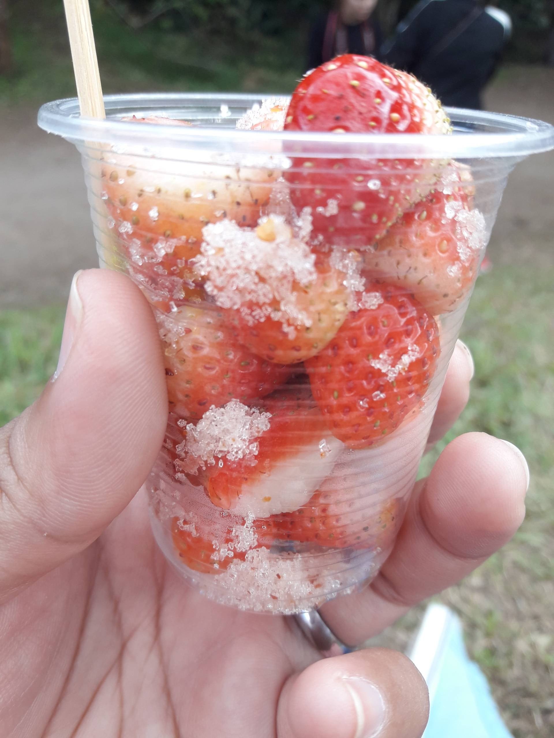 สตรอเบอรี่คลุก