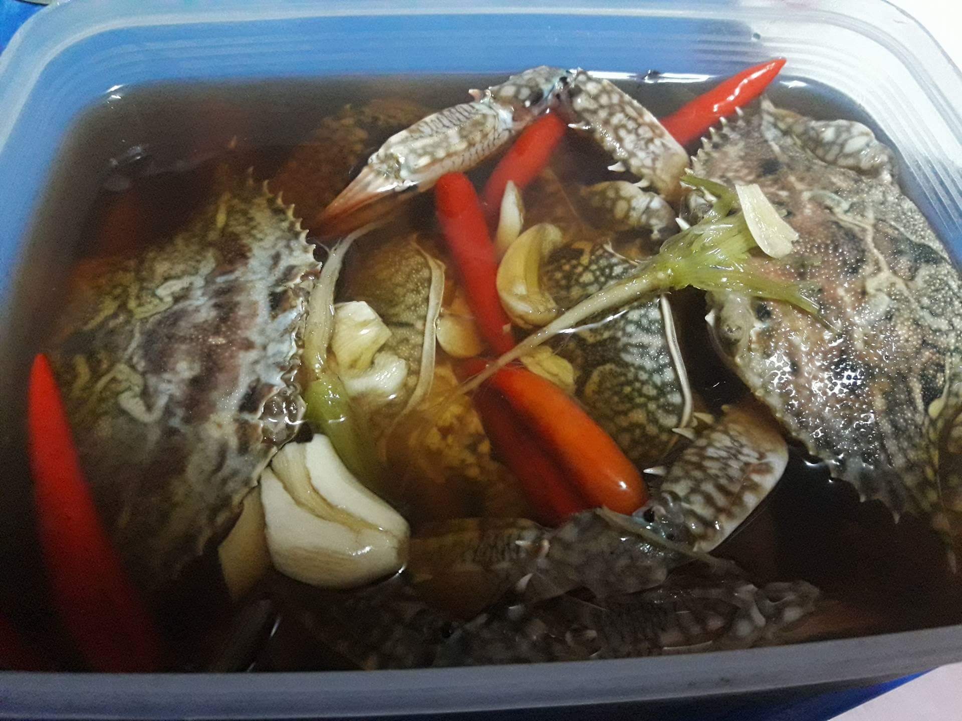 ปูม้าดองน้ำปลา