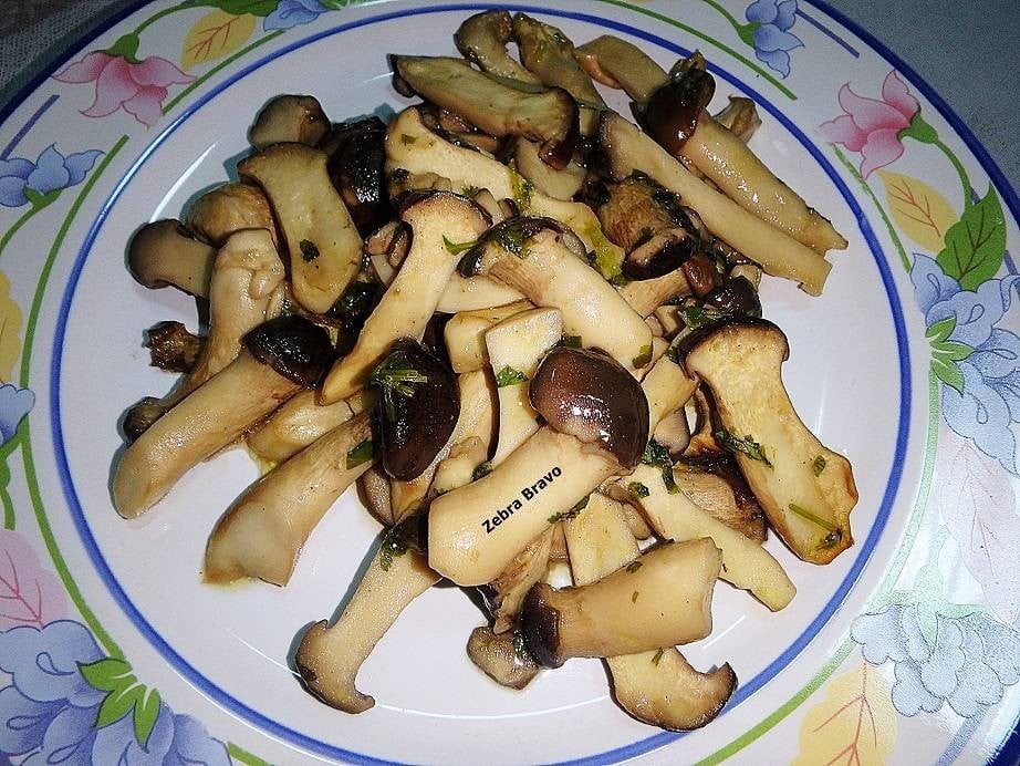 เห็ดออรินจิอบเนย