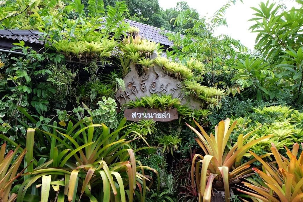 สวนนายดำ