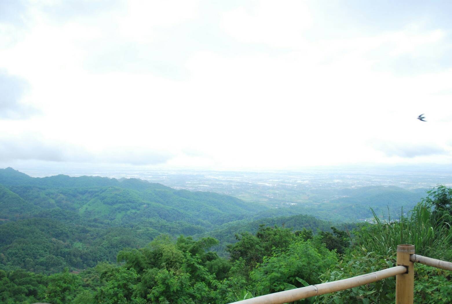 พระตำหนักดอยตุง