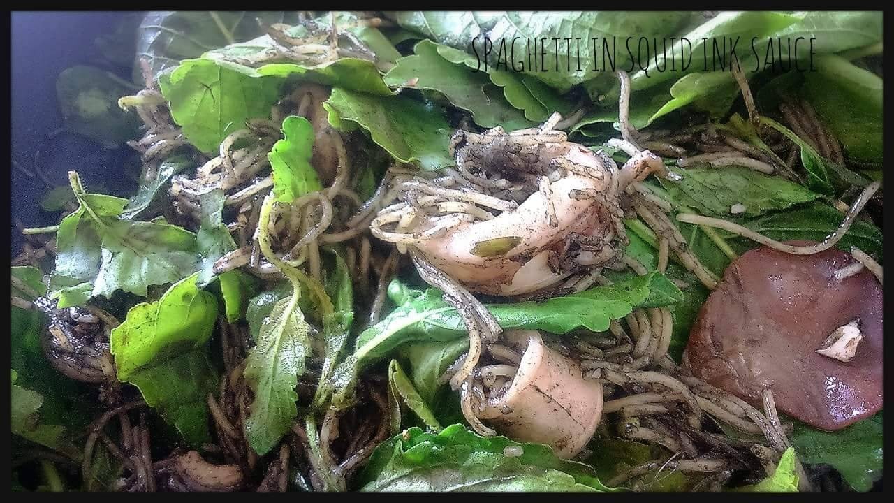 Angel Hair Spaghetti in squid ink sauce