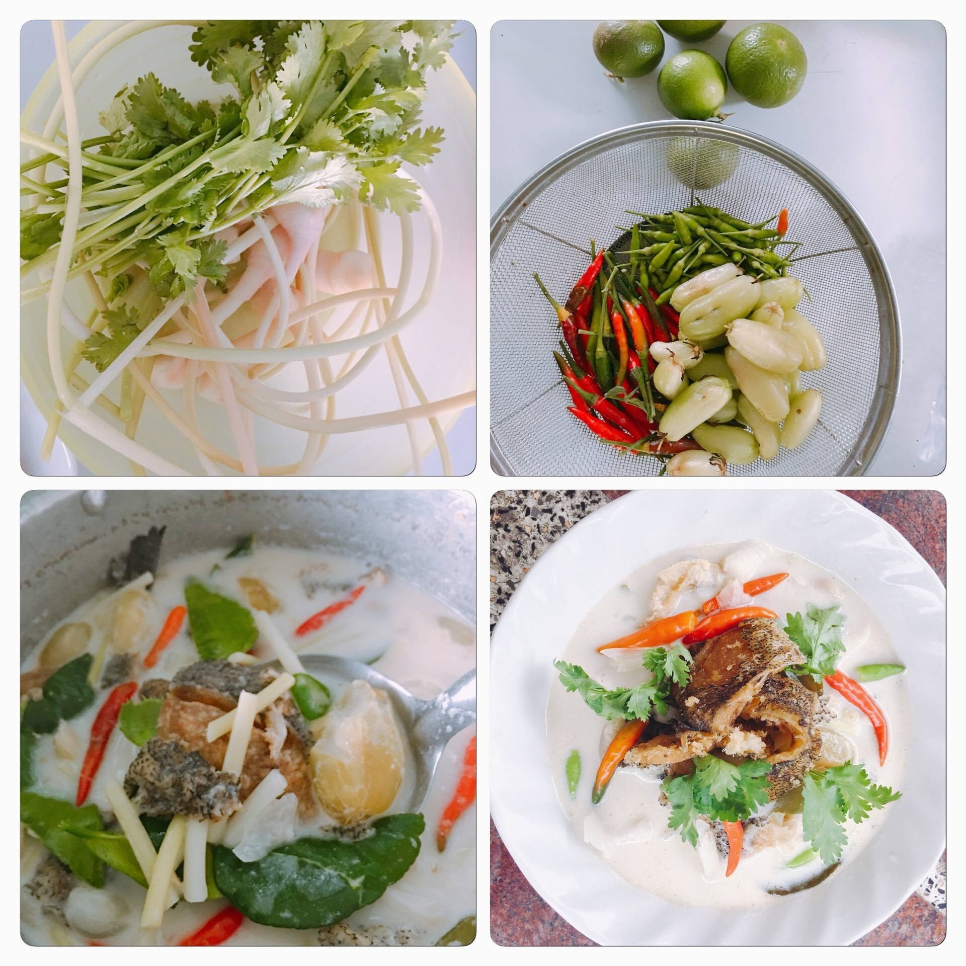 เมนูต้มข่าปลาสลิดข่าอ่อนตะลิงปิง