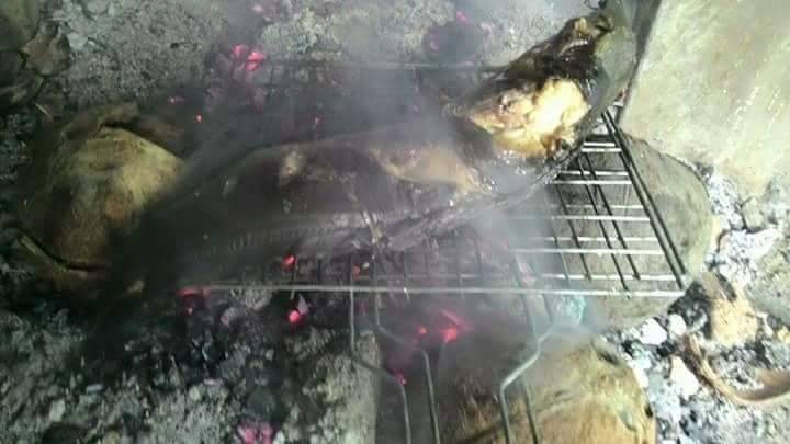 ปลาดุกย่าง
