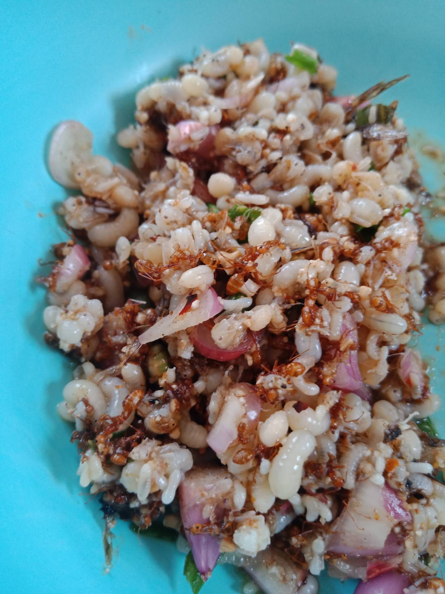 ก้อยไข่มดส้ม