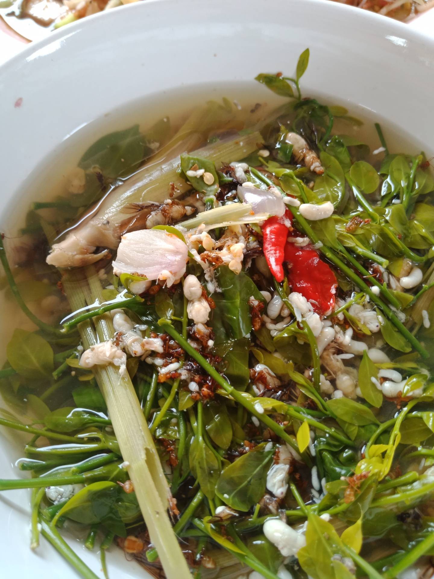 แกงไข่มดส้มใส่ยอดผักหวาน