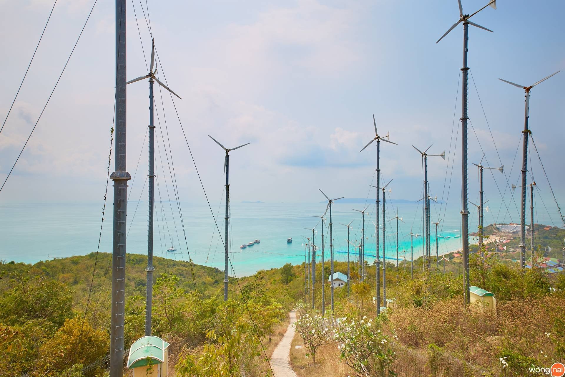 จุดชมวิวกังหันลม