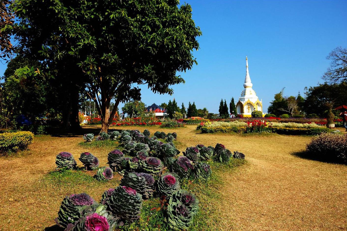 พระตำหนักเขาค้อ