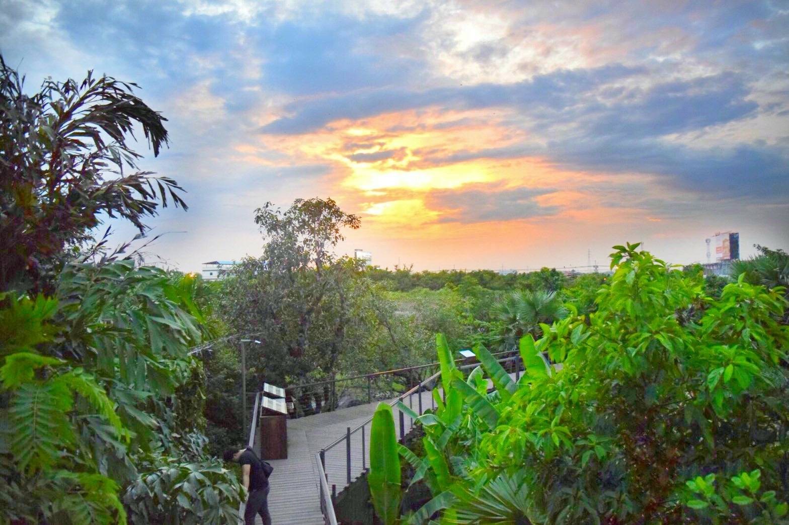 ป่าในกรุง