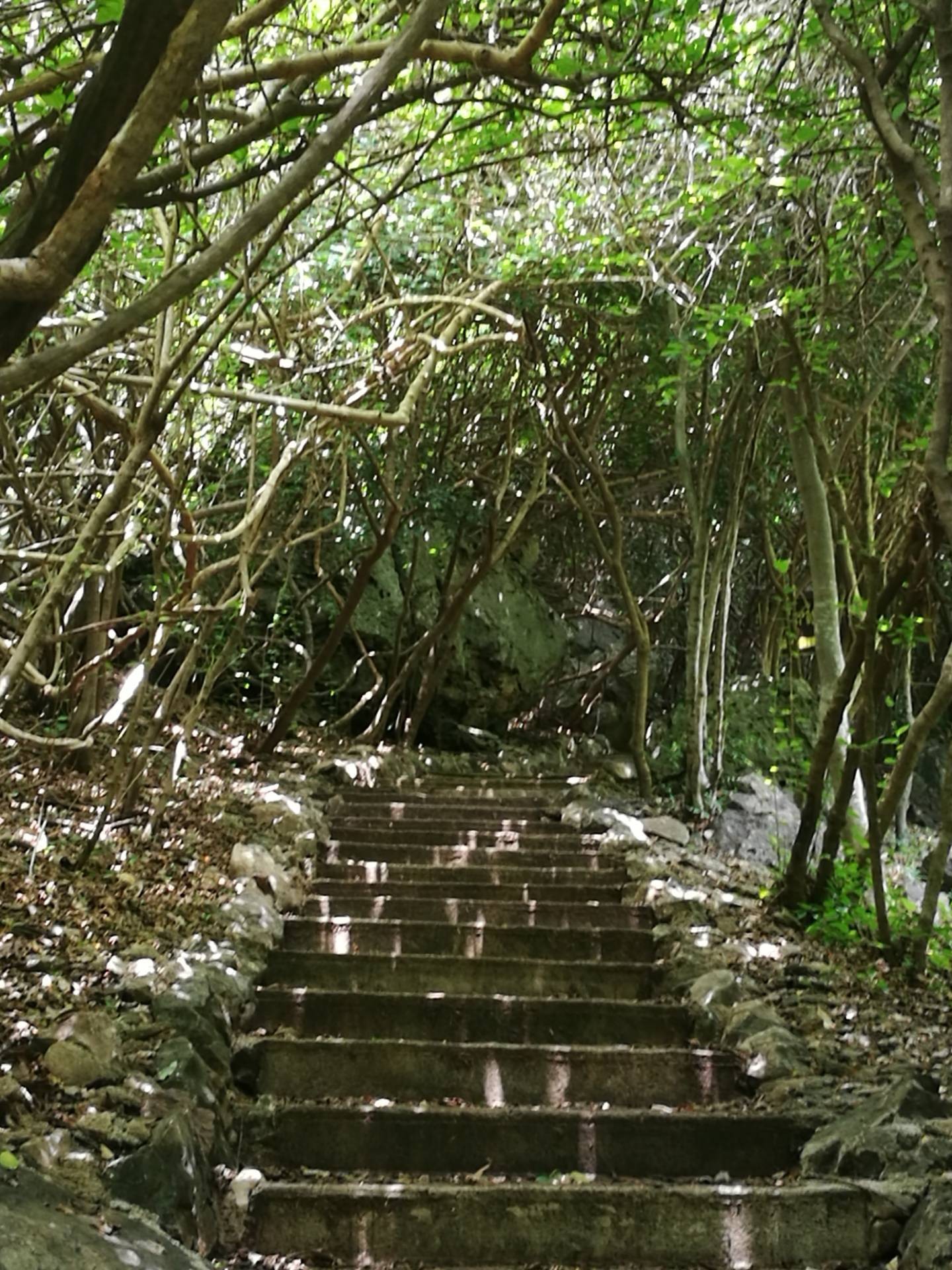 วนอุทยานเขานางพันธุรัต