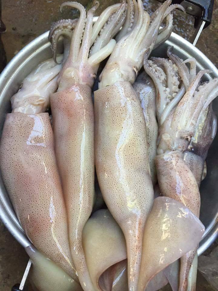 กุ้งถังรสเด็ด