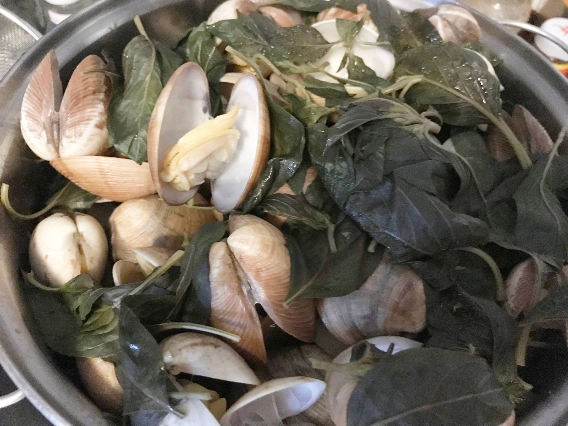 หอยตลับนึ่งโหระพา (boiled clams with basil )