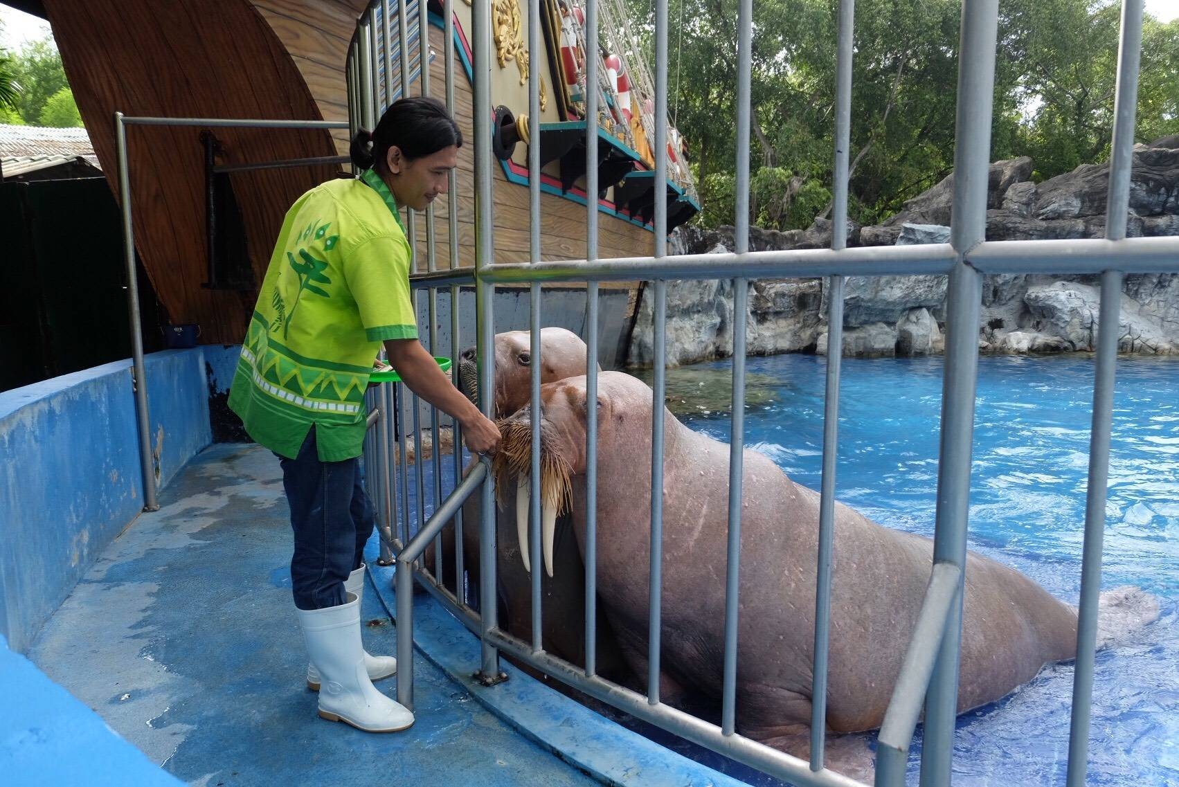 ซาฟารีเวิลด์