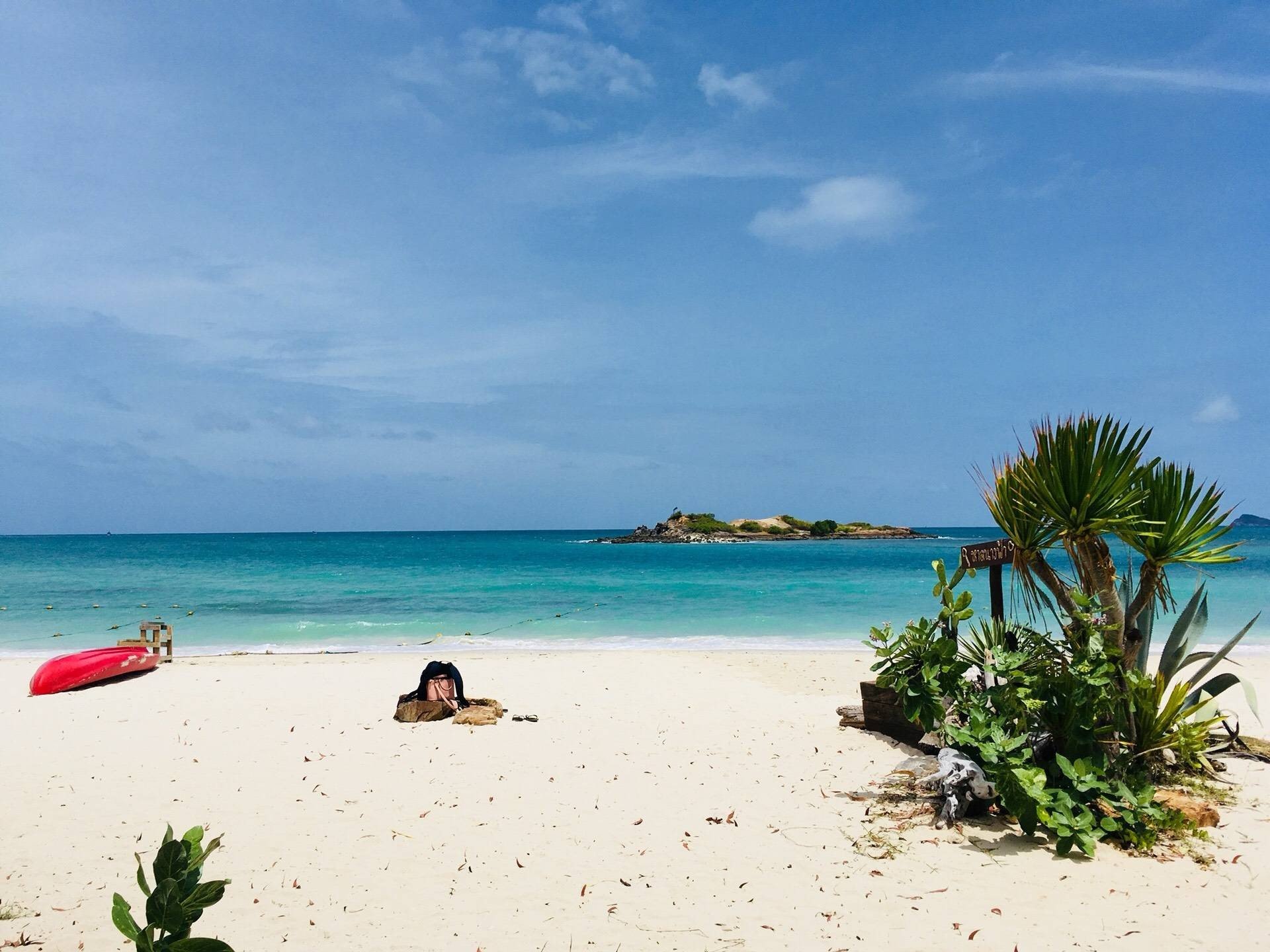 เกาะแสมสาร