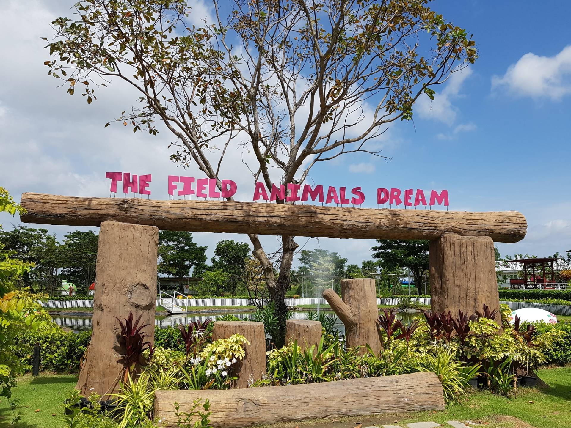 The Field Animals Dream