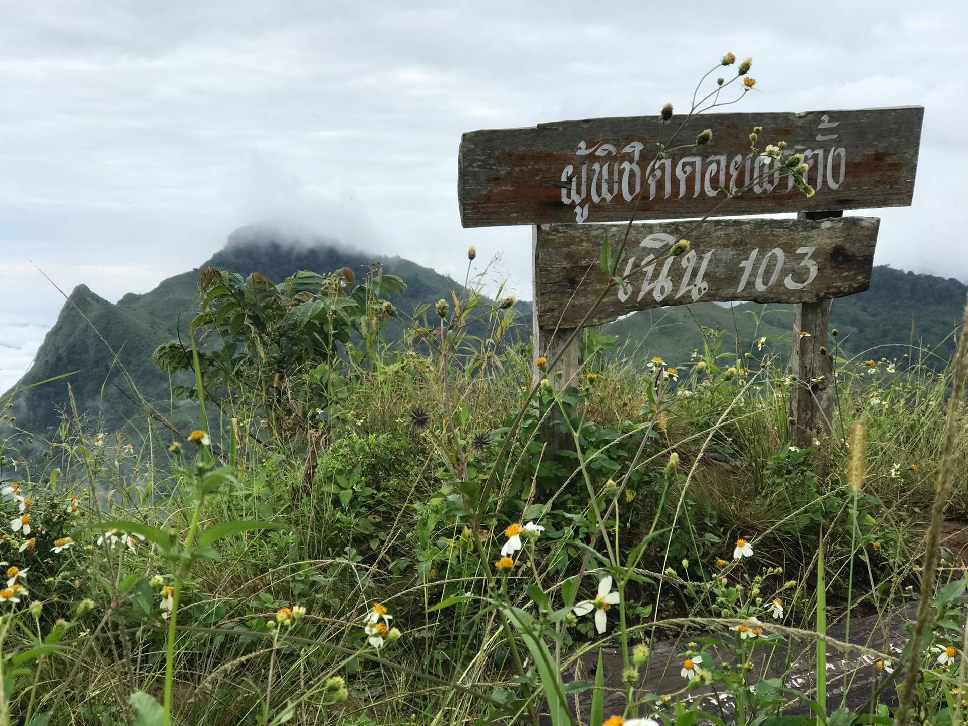 ดอยผาตั้ง