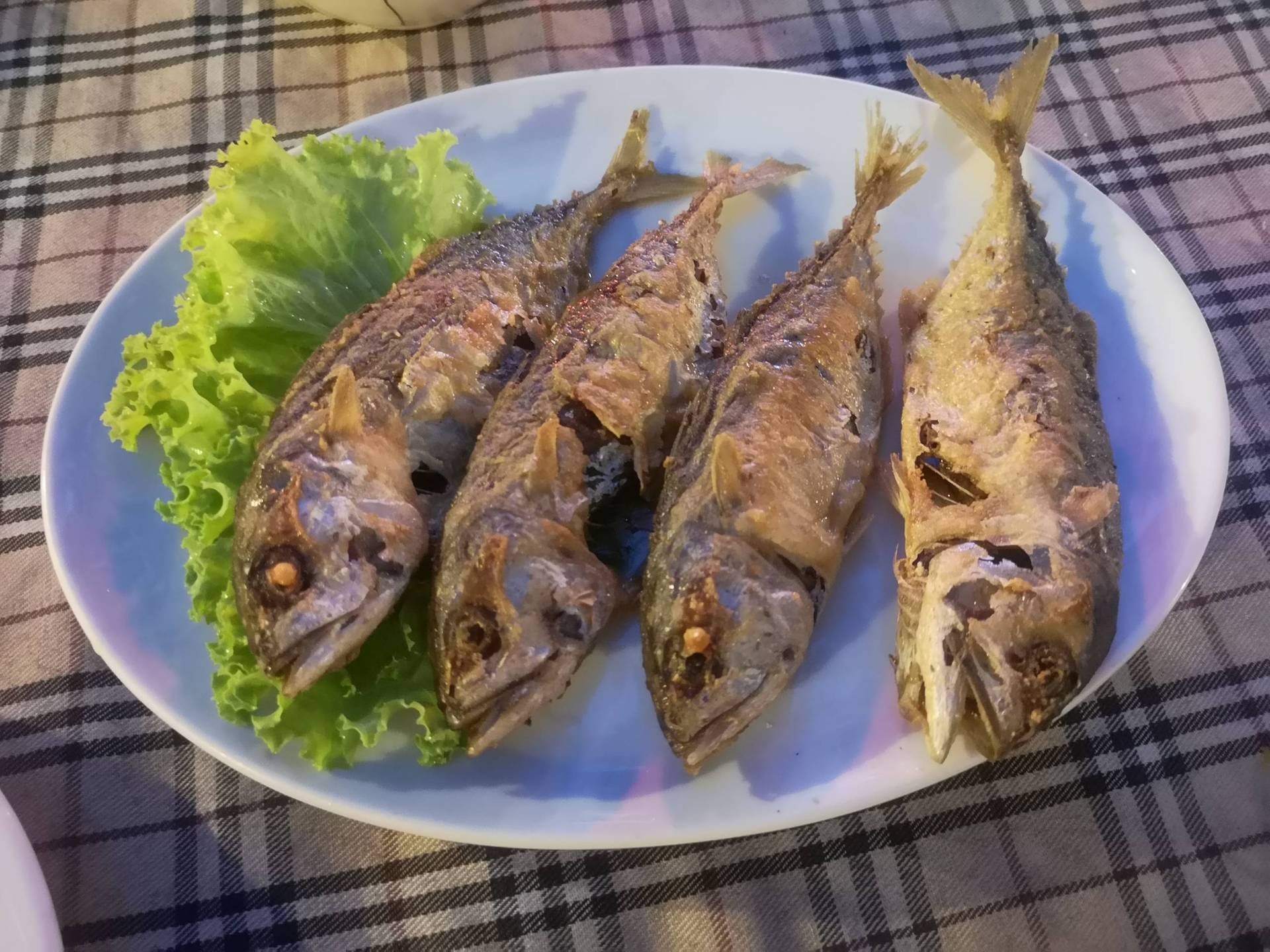ปลาทูทอดน้ำปลา