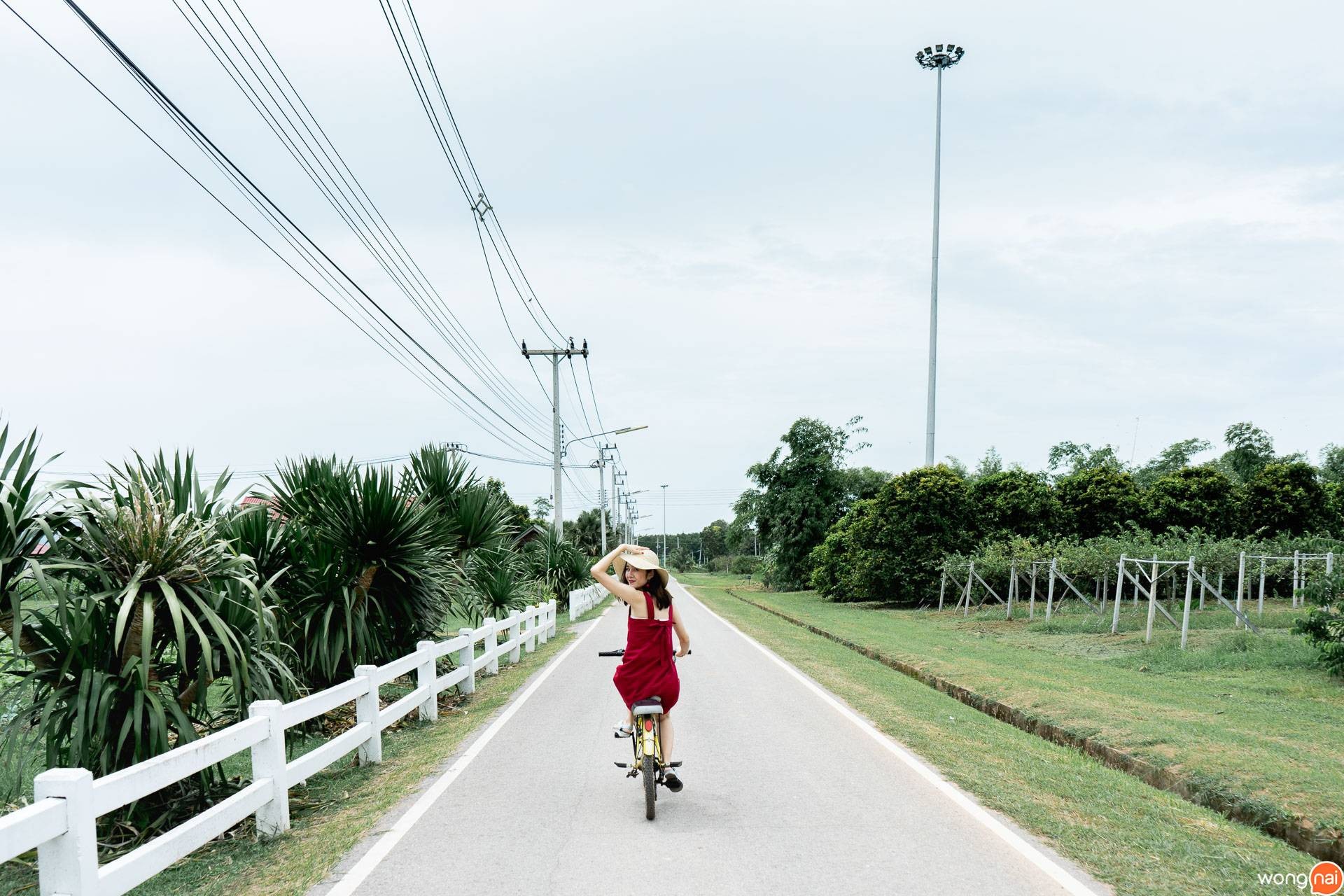 โครงการชั่งหัวมันตามพระราชดำริ