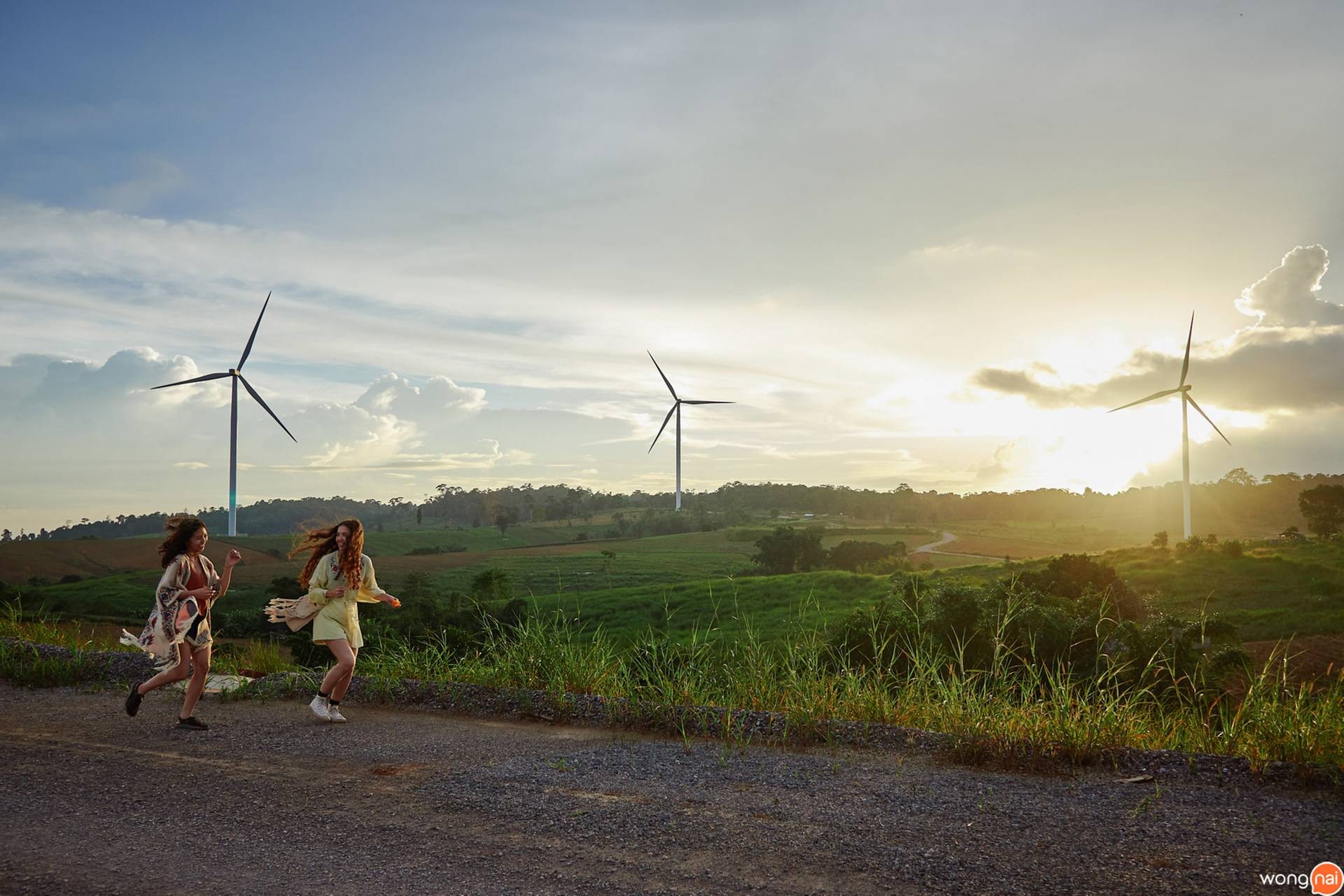 ทุ่งกังหันลม เขาค้อ