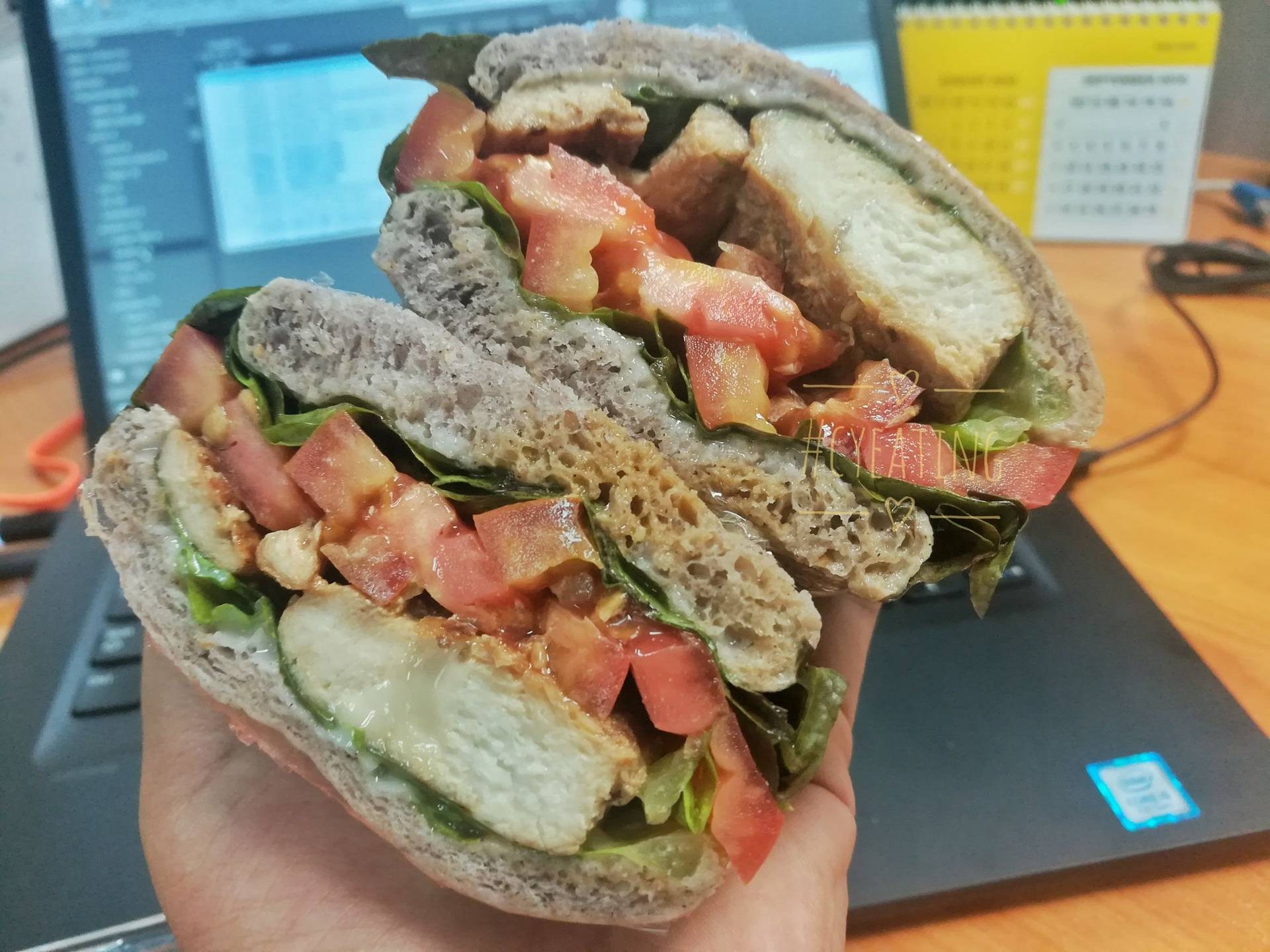 แซนด์วิชสันในไก่