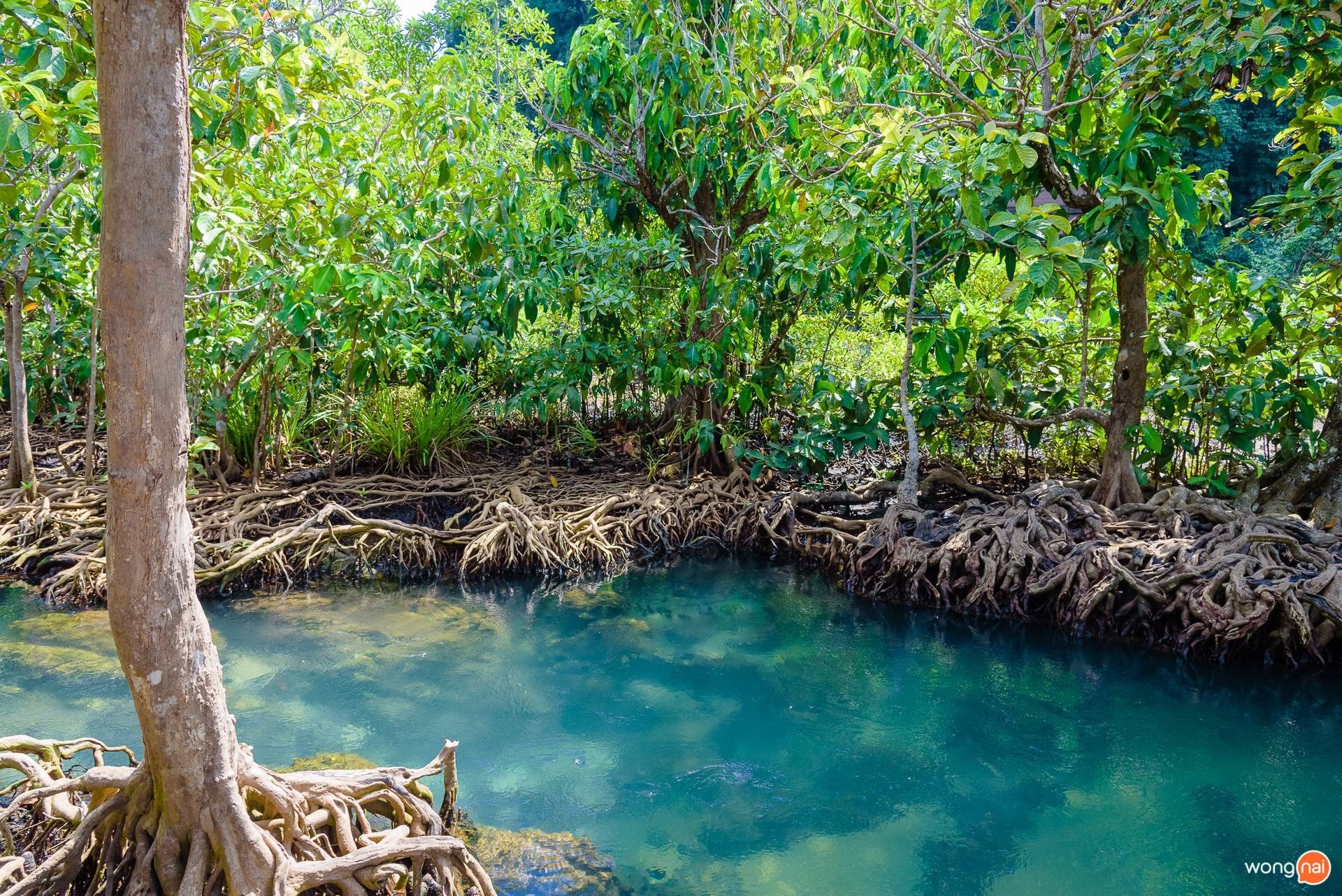 ท่าปอม คลองสองน้ำ