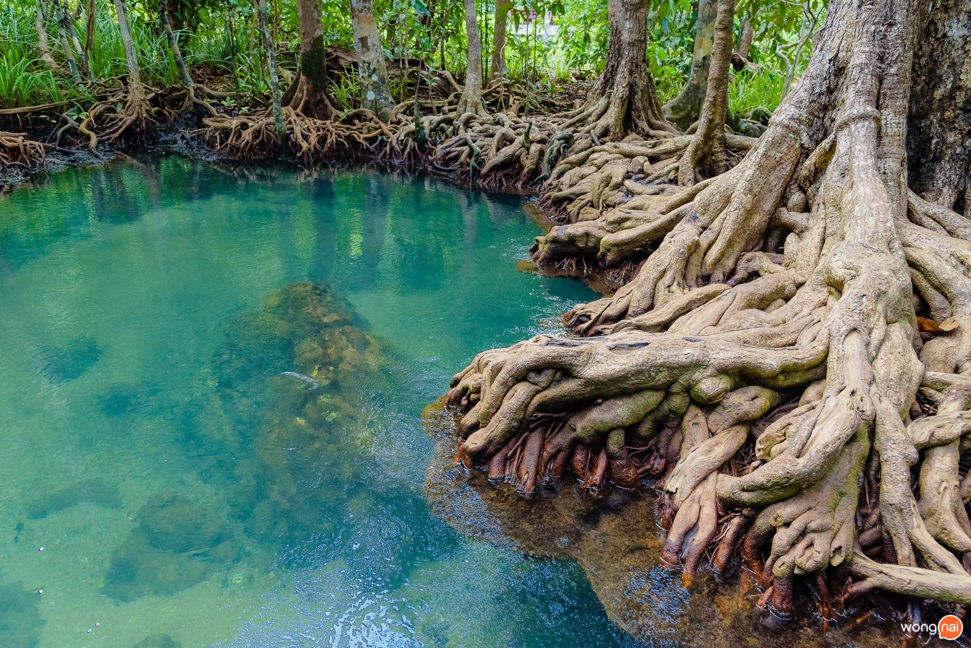 ท่าปอม คลองสองน้ำ