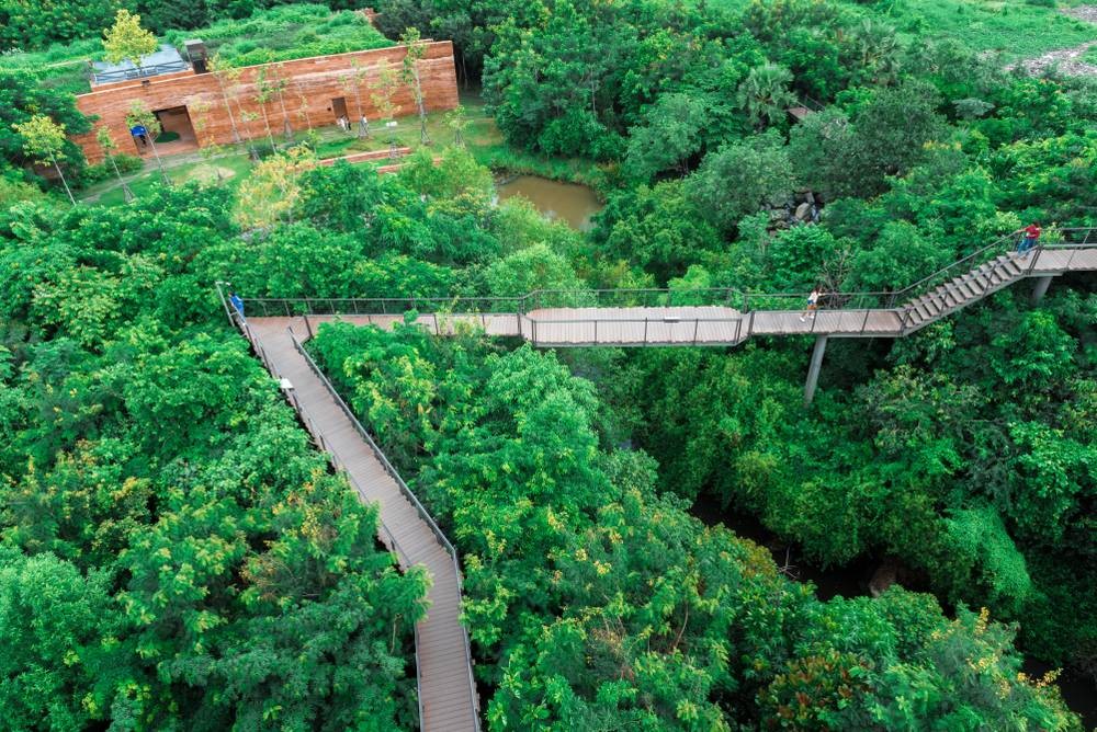 ป่าในกรุง