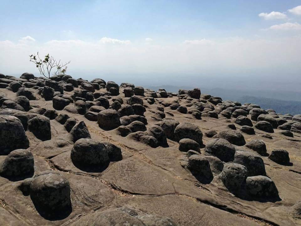 ลานหินปุ่ม