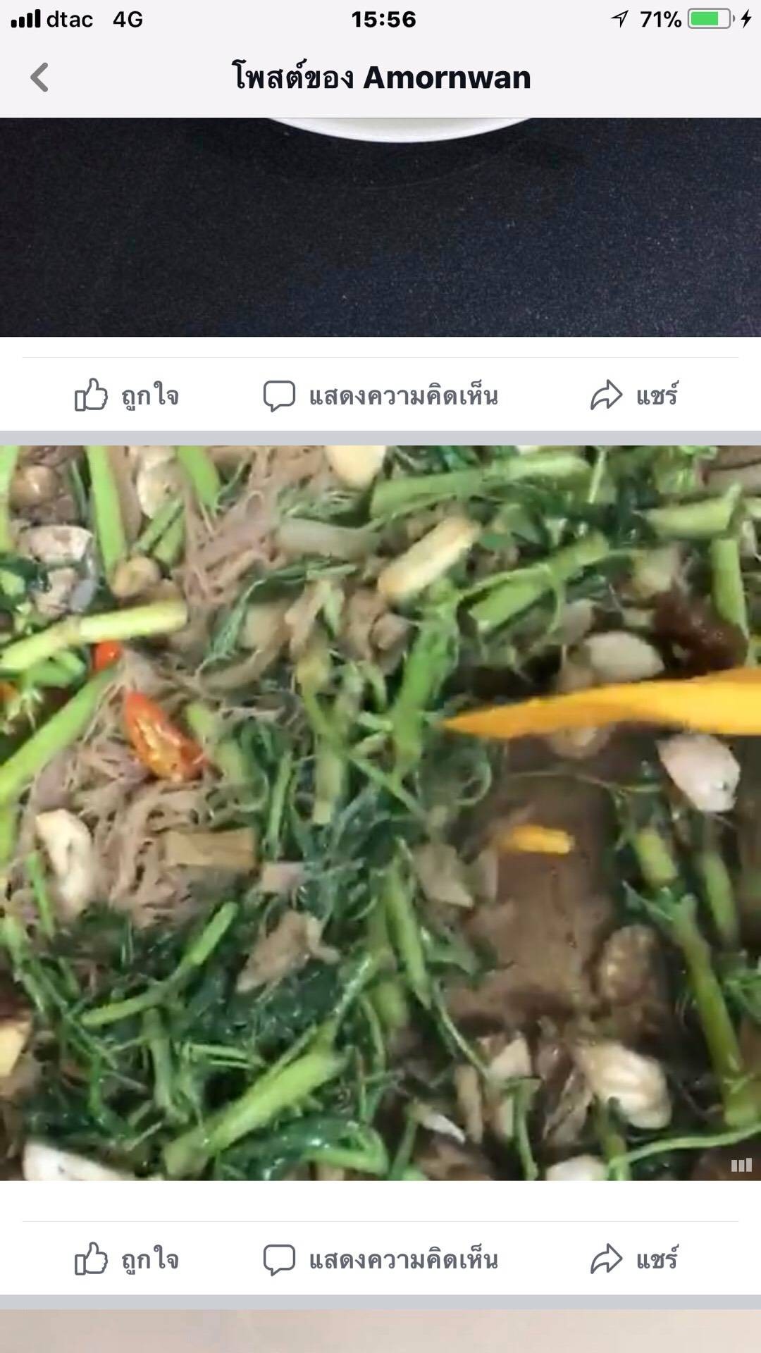 ผัดหมี่กระเฉดเจ