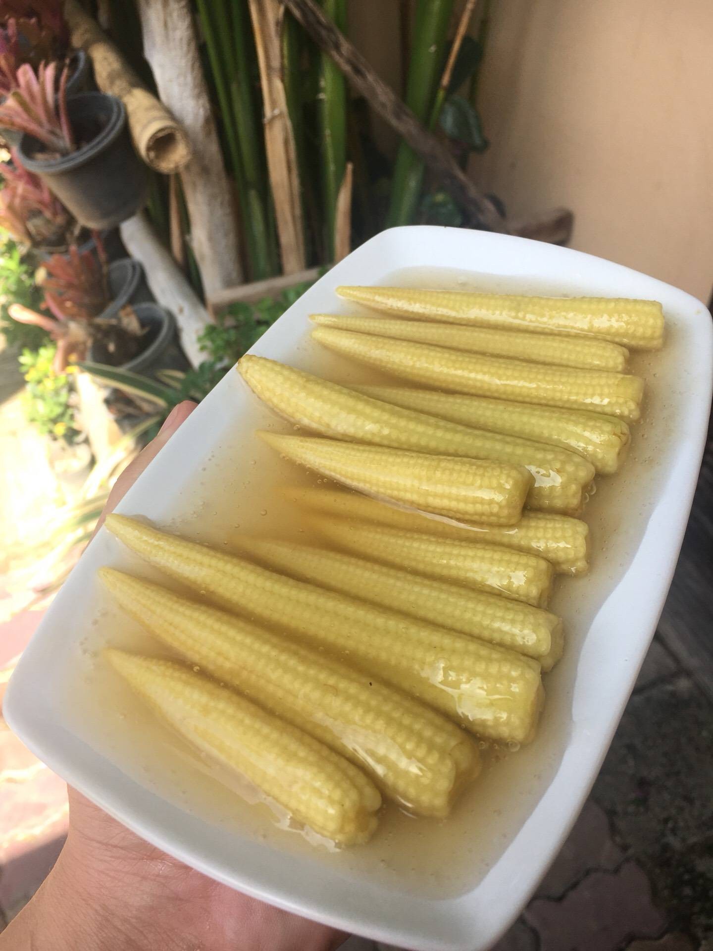 ข้าวโฟดอ่อนทรงเครื่องเจ