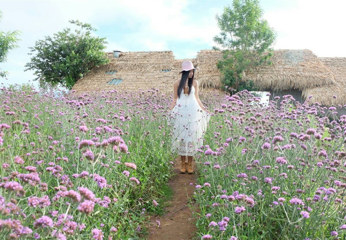 ม่อนแจ่ม