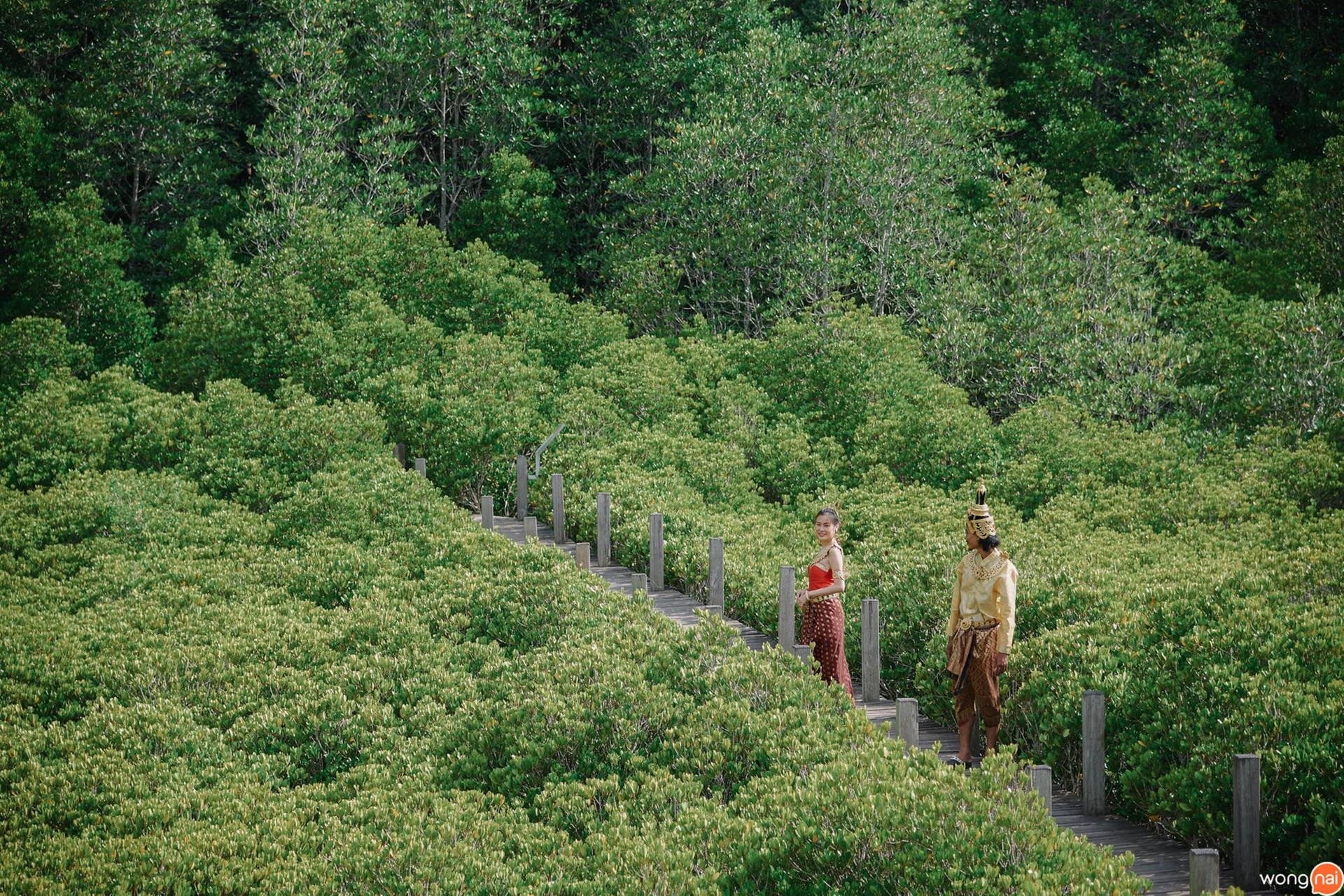 ทุ่งโปรงทอง