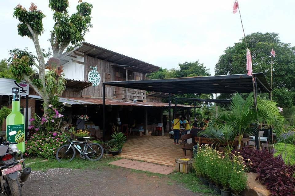 รักจังเมลอนฟาร์ม@วังน้ำเขียว