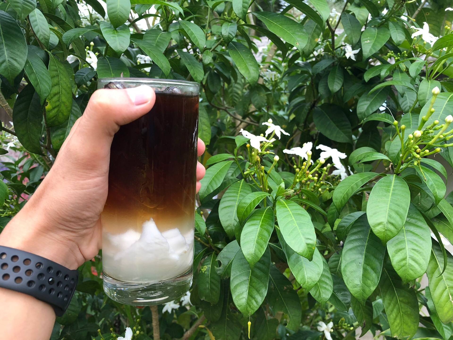 กาแฟมะพร้าวน้ำหอม