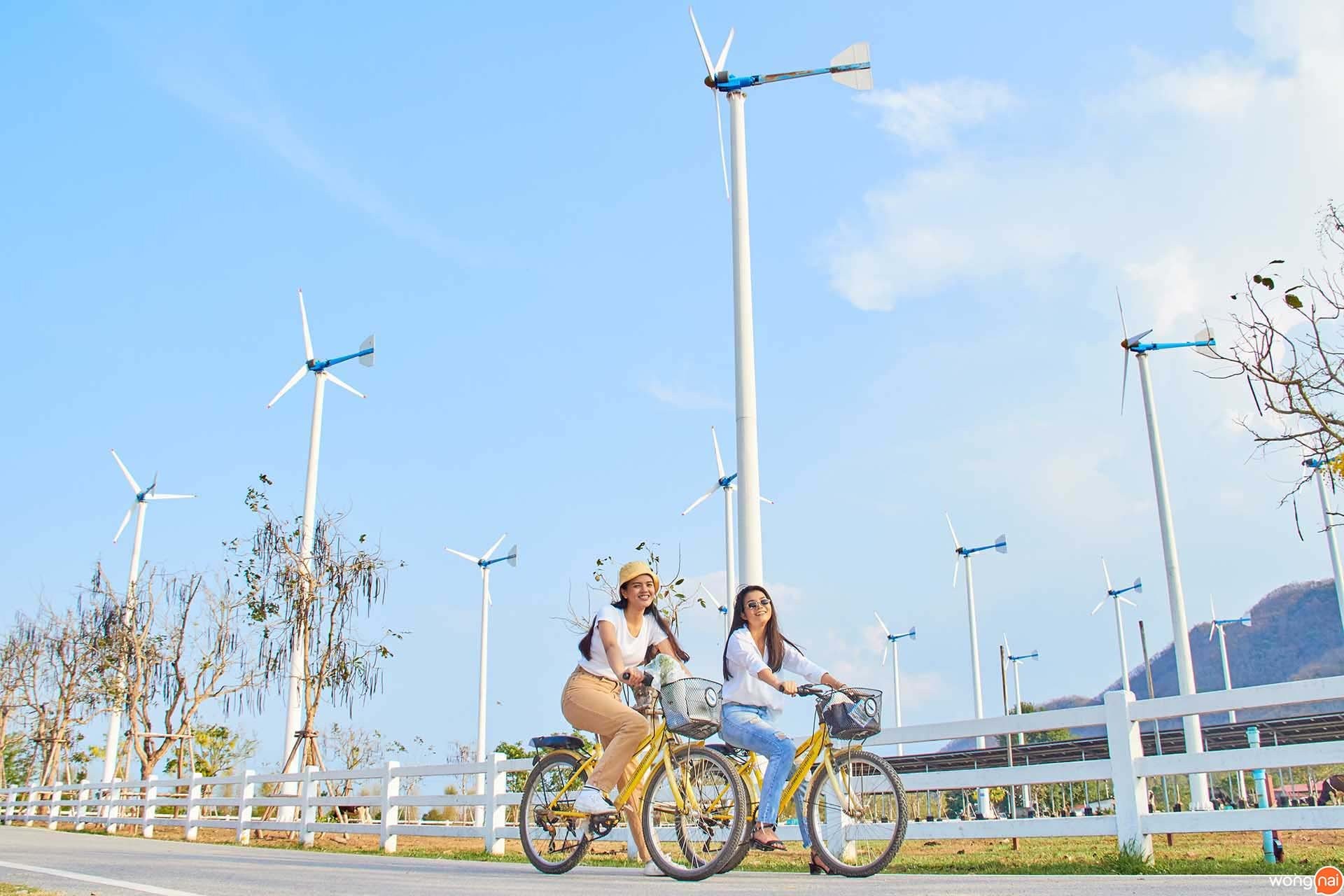 โครงการชั่งหัวมันตามพระราชดำริ