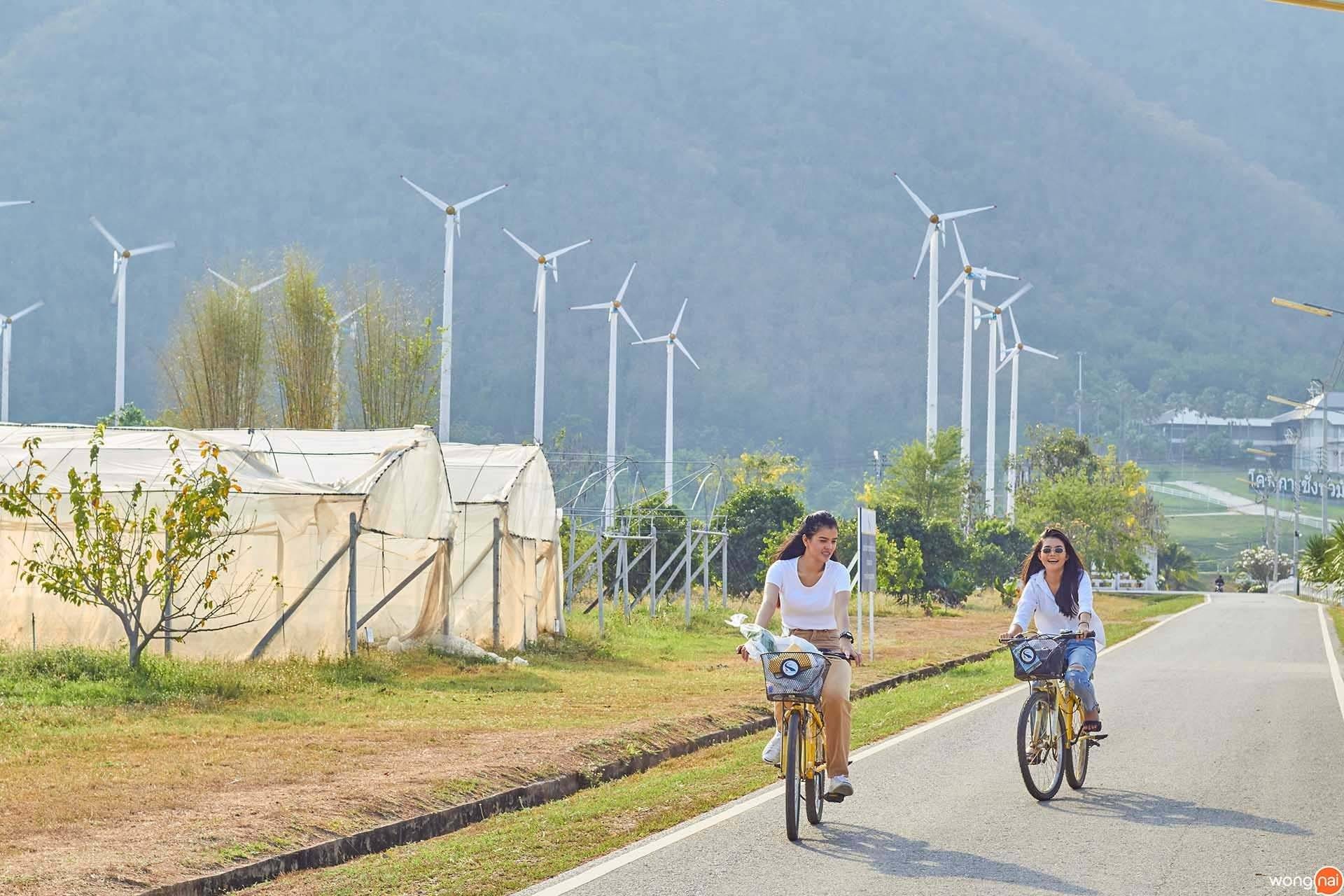 โครงการชั่งหัวมันตามพระราชดำริ