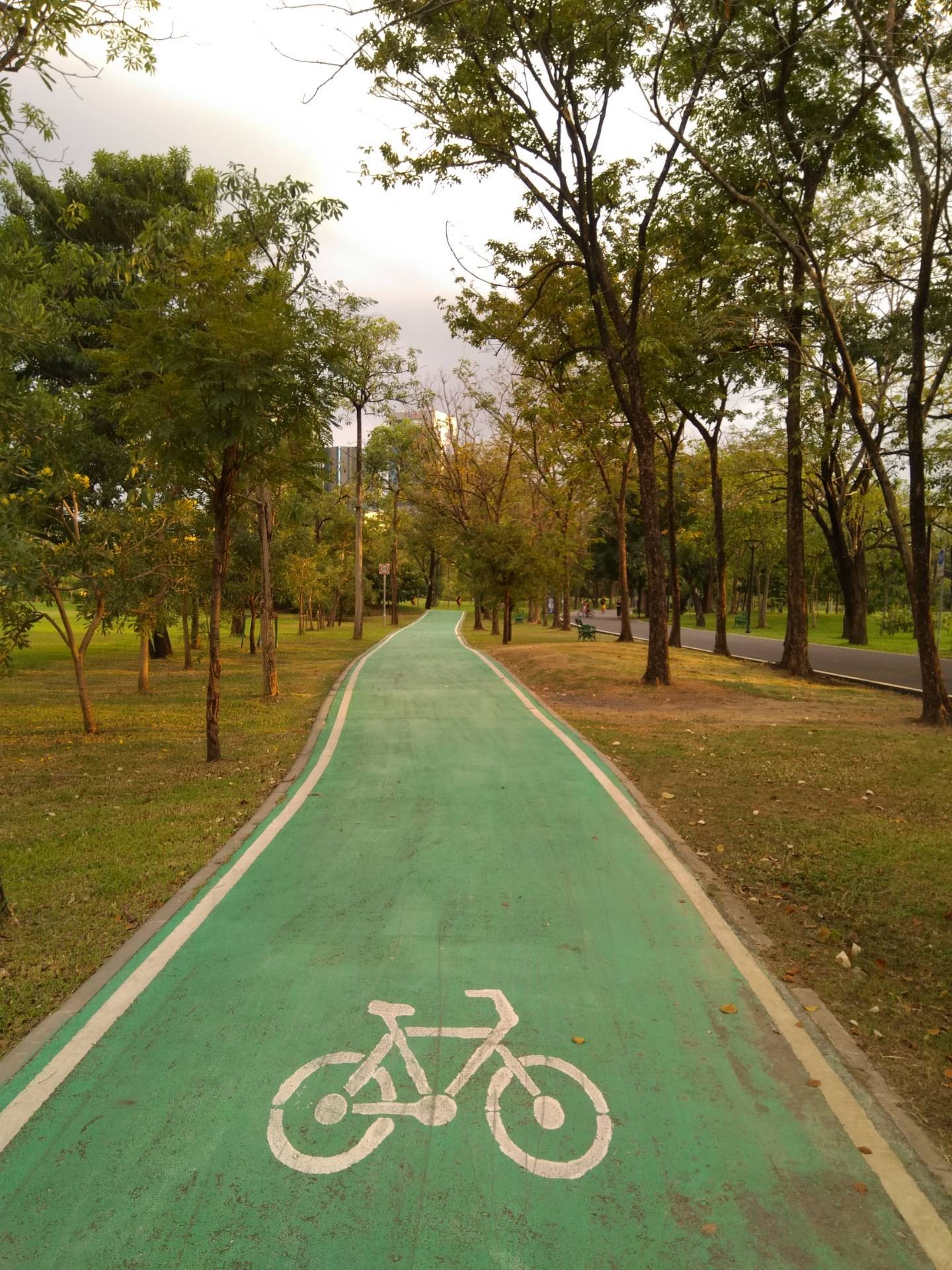 สวนวชิรเบญจทัศ (สวนรถไฟ)