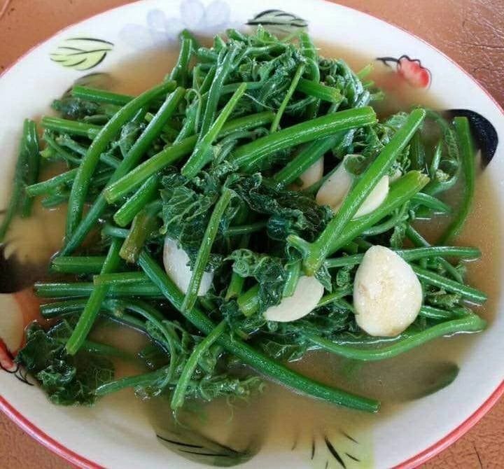 ยอดฟักแม้วผัดน้ำมันหอย