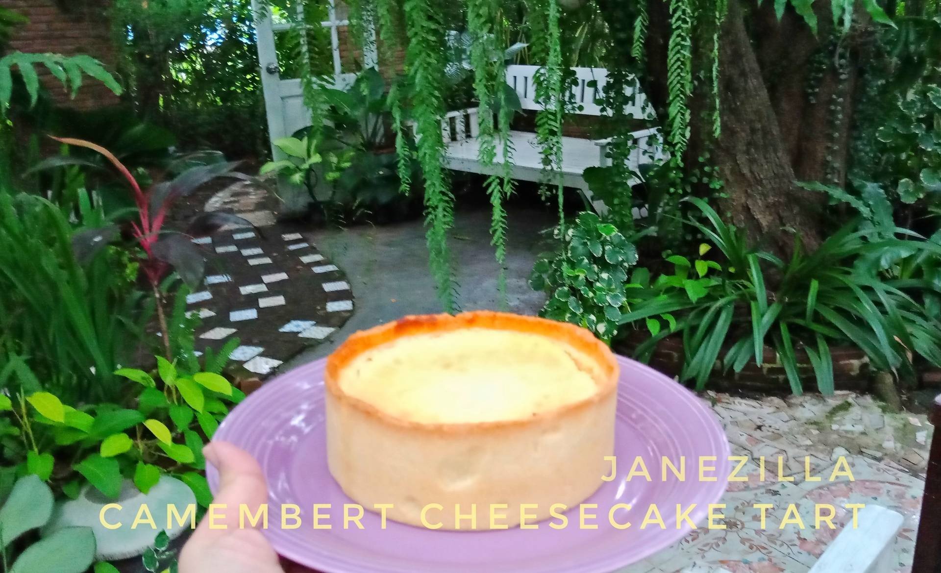 สูตร Camembert Cheesecake Tart พร้อมวิธีทำโดย ๋Janezilla Wongnai Cooking